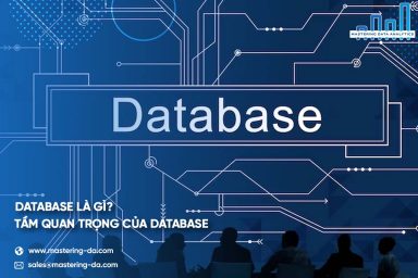Database là gì? Tầm quan trọng của Database đối với doanh nghiệp 4.0 
