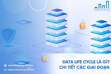 Vòng đời dữ liệu - Data Life Cycle là gì? Tầm quan trọng của vòng đời dữ liệu