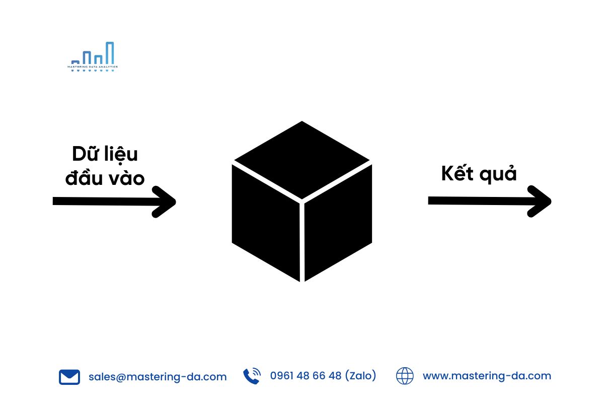 Black Box AI