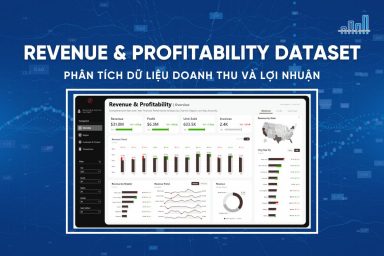 Revenue & Profitability Dataset - Chân dung toàn diện hoạt động kinh doanh bán lẻ